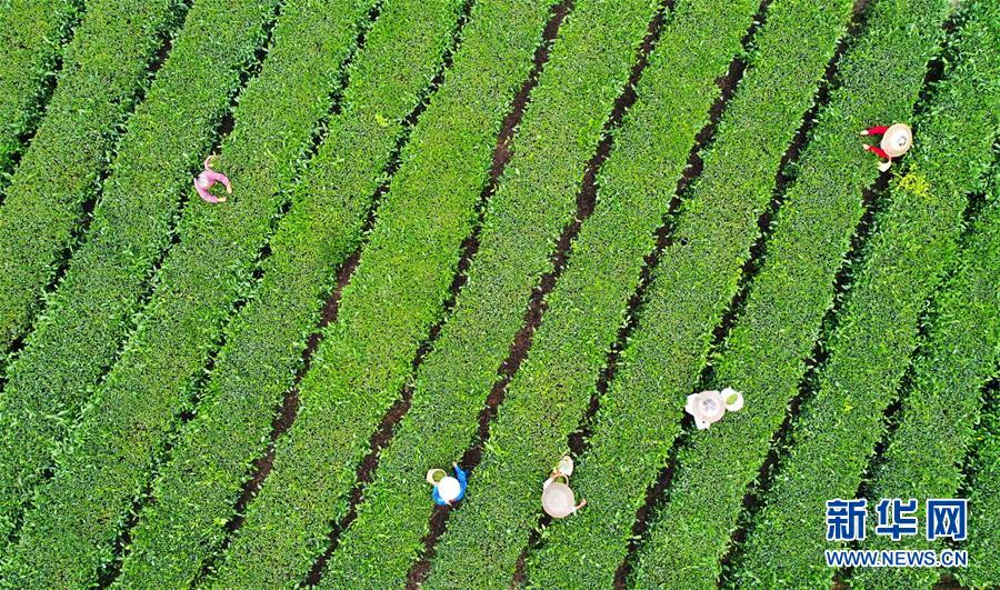 (jng)(j)1ؑcɽĲɲæ