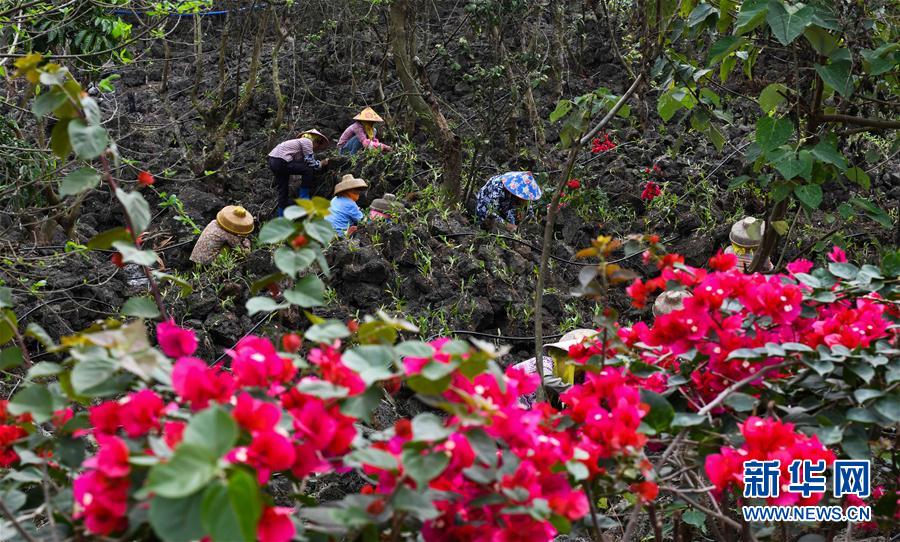 (hu)2ʩ裺ɫa(chn)I(y)