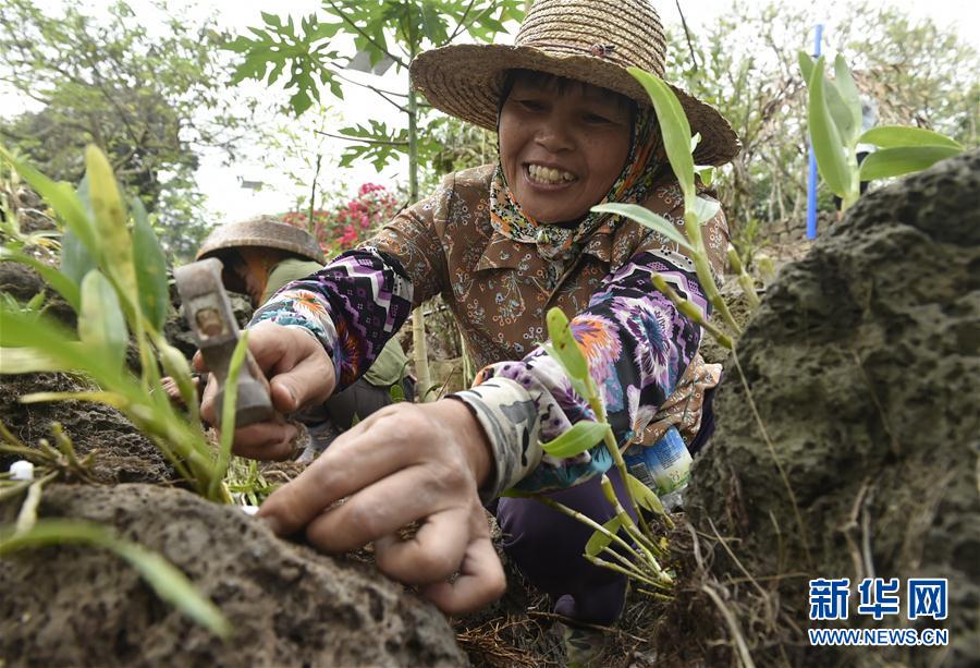 (hu)4ʩ裺ɫa(chn)I(y)