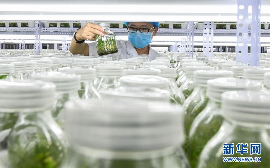 (hu)8ʩ裺ɫa(chn)I(y)