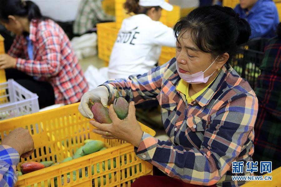 (jng)2Ȼ(yu) âa(chn)I(y)