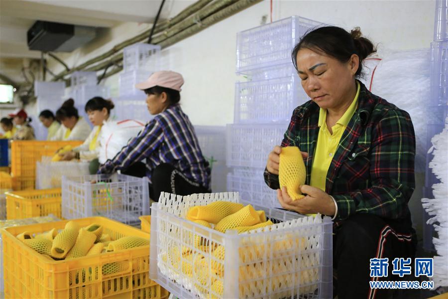 (jng)4Ȼ(yu) âa(chn)I(y)