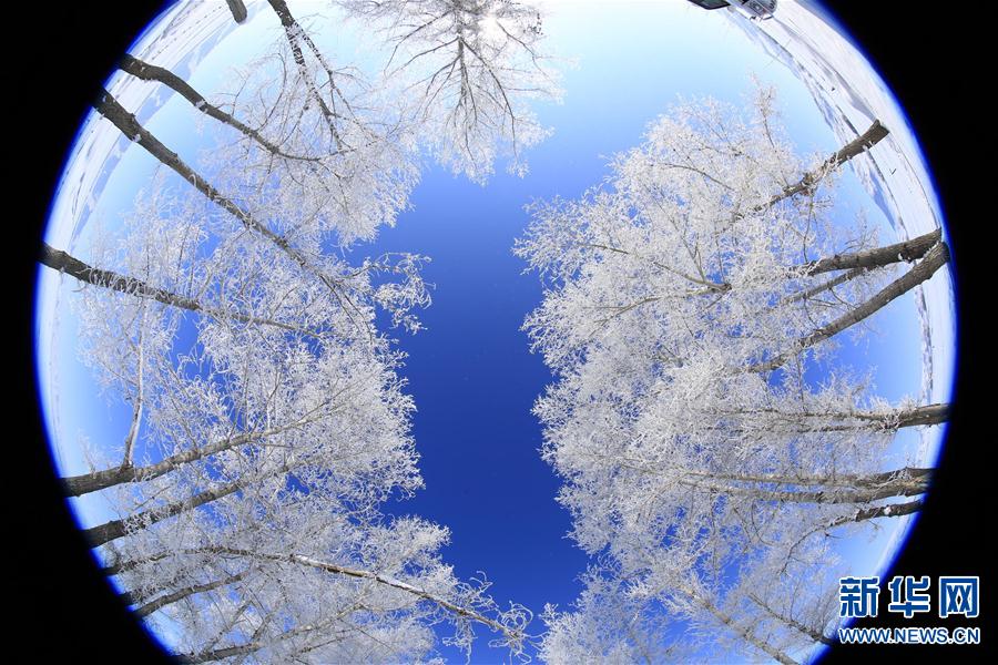 #(ҕX(ju))(1)½N(yn)hFڡ