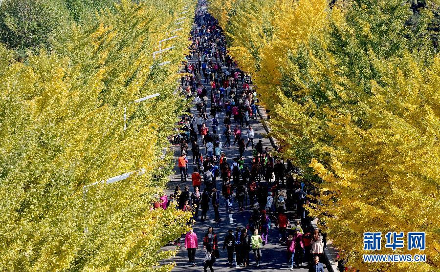 #(hu)6(yng)r(nng)yӽS