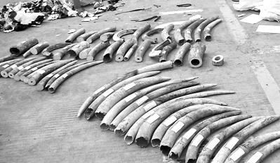 BT̴ľв@57 r(ji)ֵ800fԪ