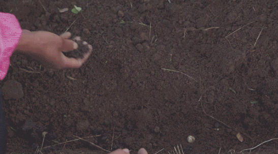 鏡頭中的脫貧故事|阿吼村的明天更美好