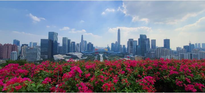 時(shí)政現(xiàn)場(chǎng)說(shuō)丨牢記總書(shū)記囑托 續(xù)寫(xiě)春天的故事