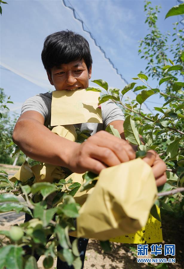 ƽС¡DĻӣ2Һεһ׌l(xing)HһD⡱ƽÓؚԵĹ