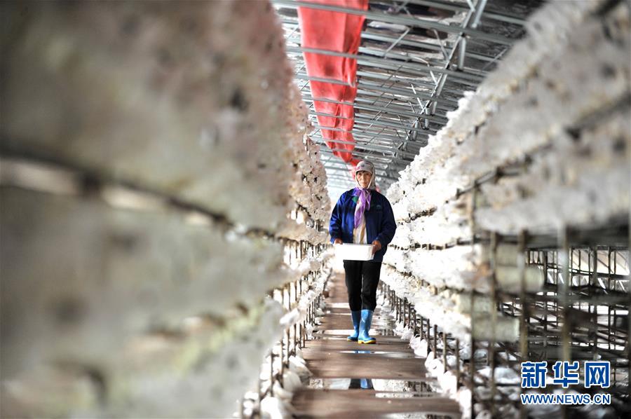 ƽС¡DĻӣ6Һεһ£׌l(xing)HһD⡱ƽÓؚԵĹ