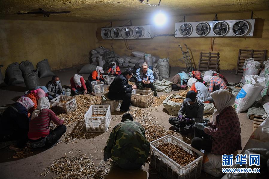 ƽС¡DĻӣ8Һεһ׌l(xing)HһD⡱ƽÓؚԵĹ