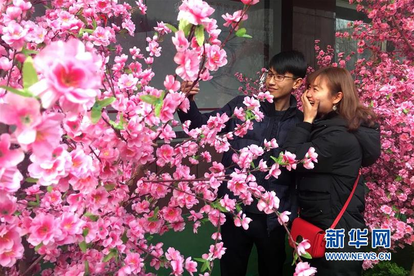 (新華網(wǎng))(2)山東濟(jì)南:人面桃花愛(ài)意濃
